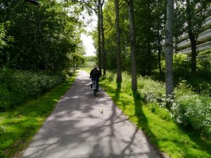 Typical cycle path in Wassenaar