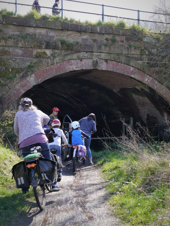 P1200461 (1201x1600)