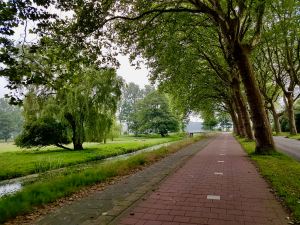 Riding along Backershagenlaan on the way out of Wassenaar