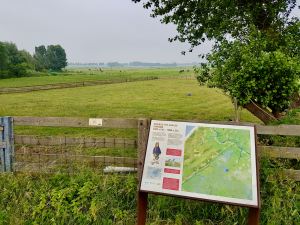 Looking out on the marshland