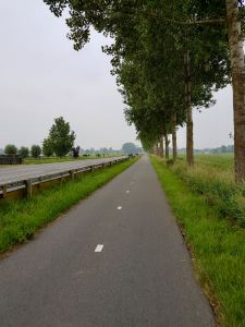 Riding along the tree-lined cycleway next to the N206