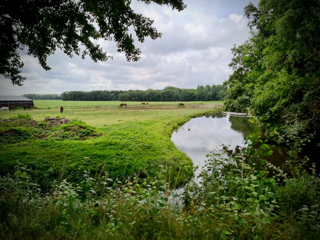 View from the cycle path