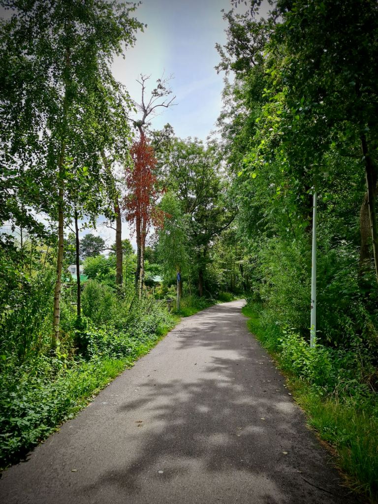 Decent quality cycle path