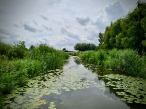 View from a bridge on the cycle path