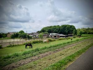 Stables and riding centre