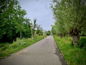On a cycle path, heading for lunch