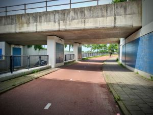 Passing under the station