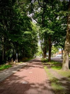 On Storm van 's-Gravesandeweg, just after leaving Duinrell, pretty smooth paved cycle path