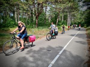 Our gang of friends and families