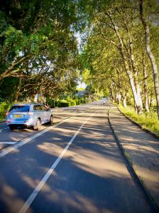 Riding down the hill at Wassenaarseslag, where the motor lanes and cycle paths converge
