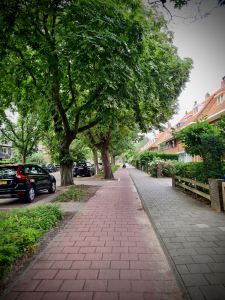 Setting off from Duinrell, along the paved cycle path