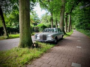 A classic Mercedes parked on the verge, next to the cycle path