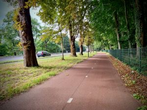 Nice wide two-way cycle path, with a smooth asphalt surface