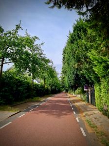 A cycle street, next to the N44