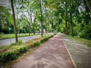 Nice wide one-way cycle path with tree cover, on Hofzichtlaan