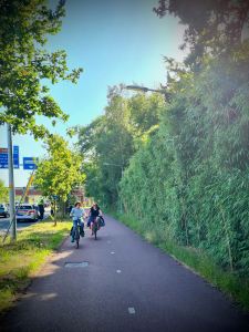 Nice wide two-way cycle path next to the N44