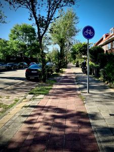 Bit of a bumpy paved cycle path on Storm van 's-Gravesandeweg