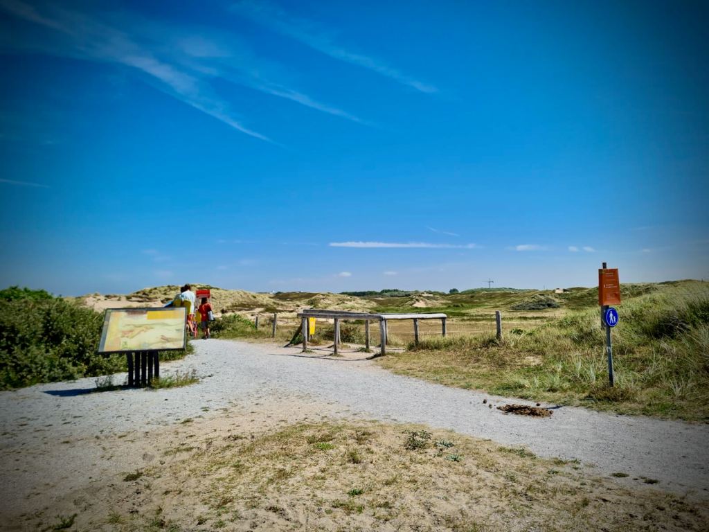 Path through the dunes to the beach