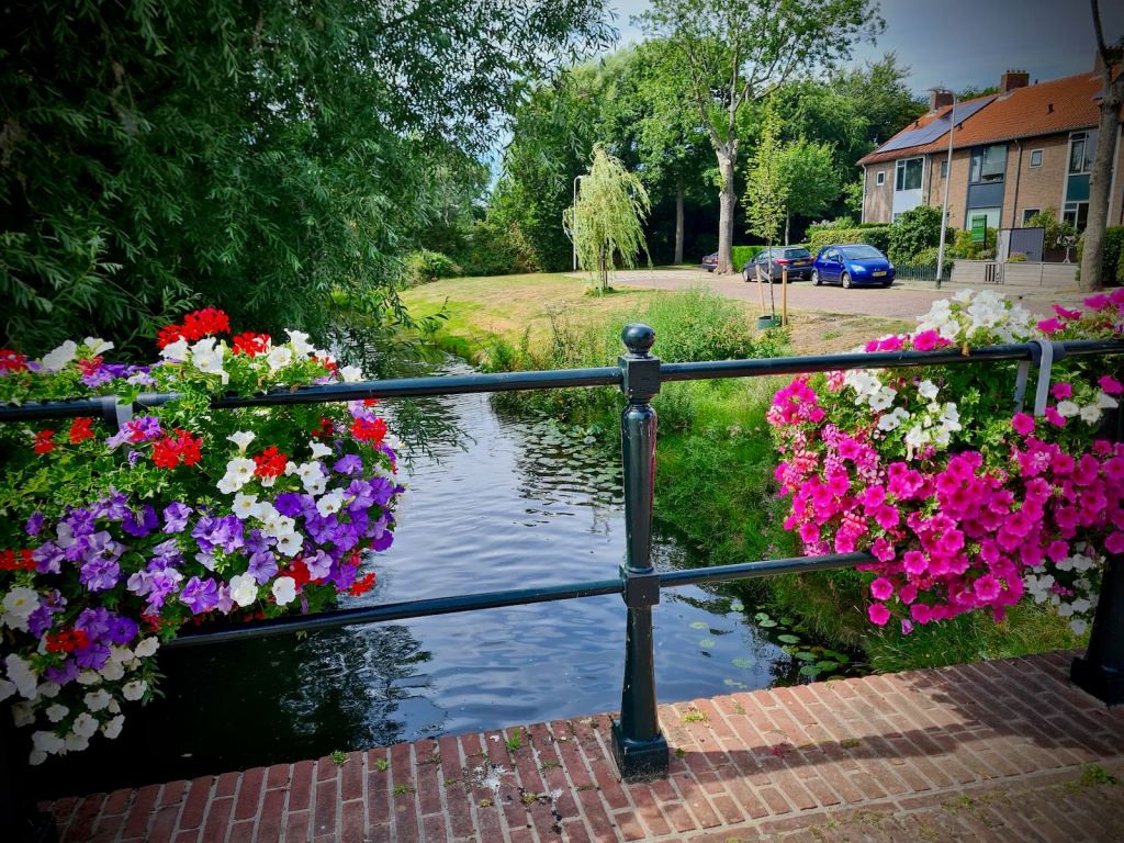 Nice flowers on the bridge over the Zandsloot river