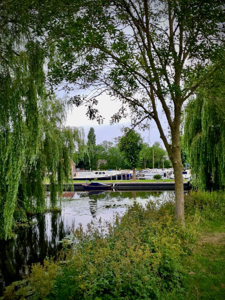 View of moored boats from Jaagpad