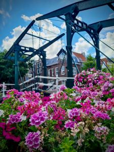 Lifting bridge and lovely flowers