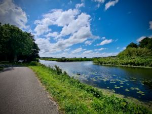 Looking out across the water, from the cycle path