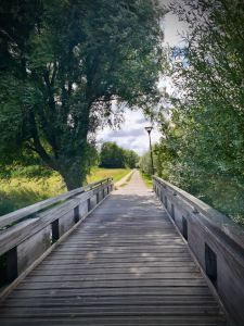 Wooden bridge over water