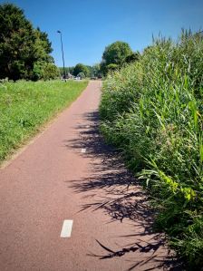 Even in the Netherlands, cycle paths aren't always maintained