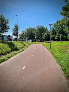 Cycle path next to the S118