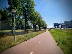 Trees and commercial buildings on the S118 cycle path