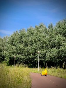 Aerodynamic recumbent ahead of us