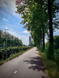 Cycling along the S150