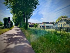 Cycling along the S150