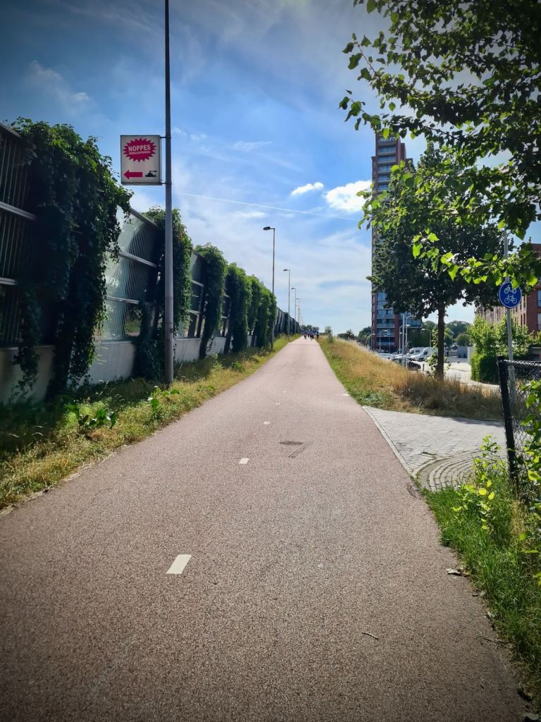 Cycling along the S150