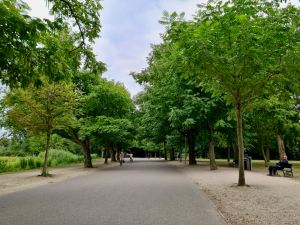 Riding in Vondelpark