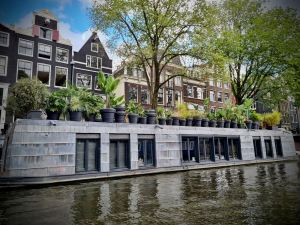 That's a lot of plants