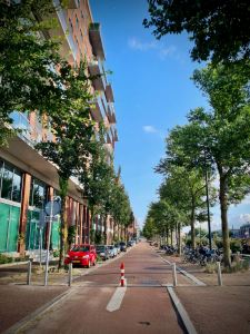 Modal filter on Westerdok