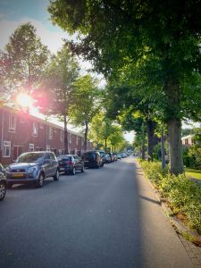 Under the trees on Meteorenweg