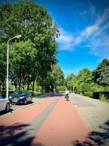 Cycle street on Dominee Martin Luther Kingweg