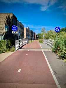 Small bridge over a branch off De Gouw