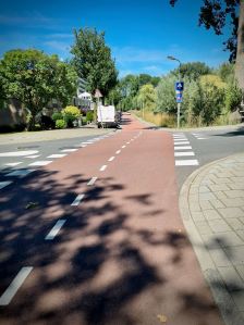 Priority for cycles across a junction