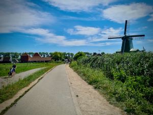Path and windmills