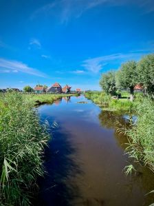 De Haal and other buildings in the distance