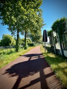 On the cycle path next to the S150