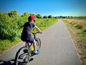 Cycling along a rural path on De Zuiderlaaik