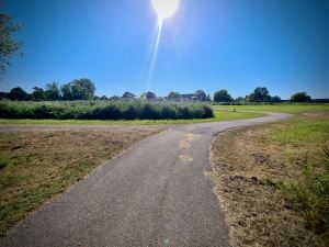 Sun shining down on the cycle path