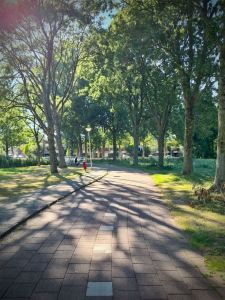 Paved cycle path in Darwin Park