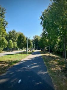 On Artillerieweg, the main route into Hembrug