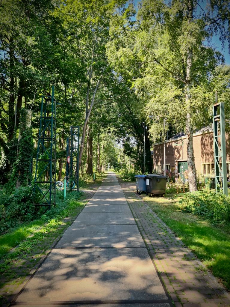 Looking down Draaibank