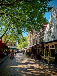 Bars and restaurants in Beestenmarkt